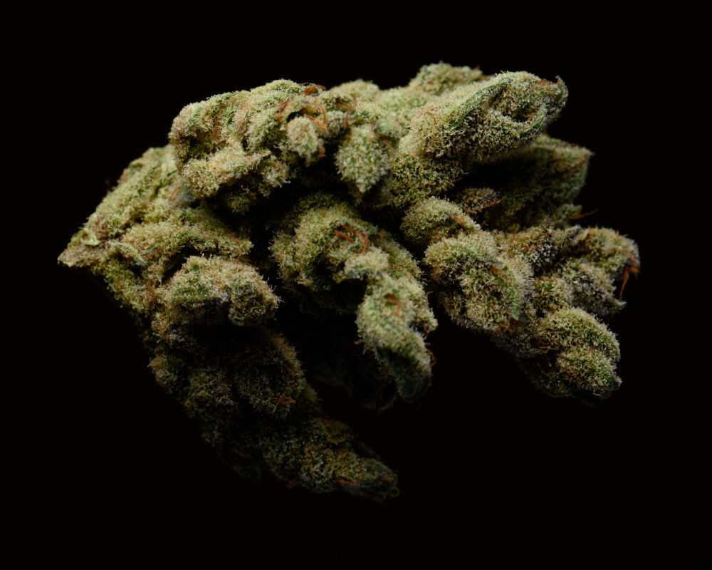 High Garden