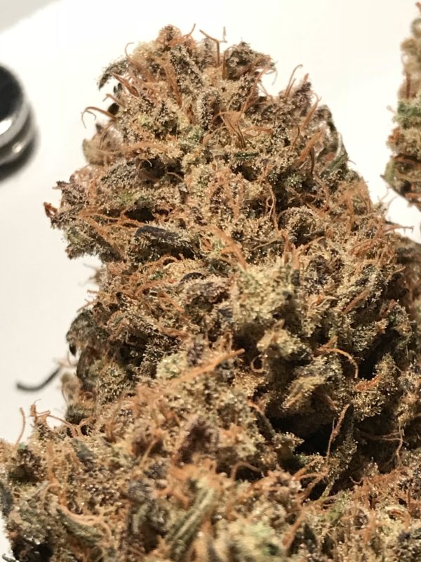 High Garden