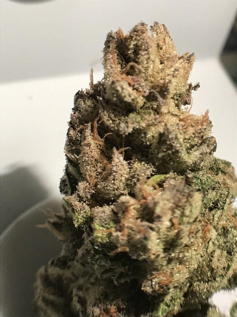 High Garden