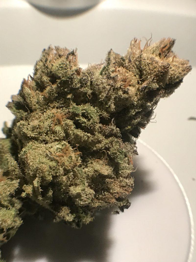 High Garden