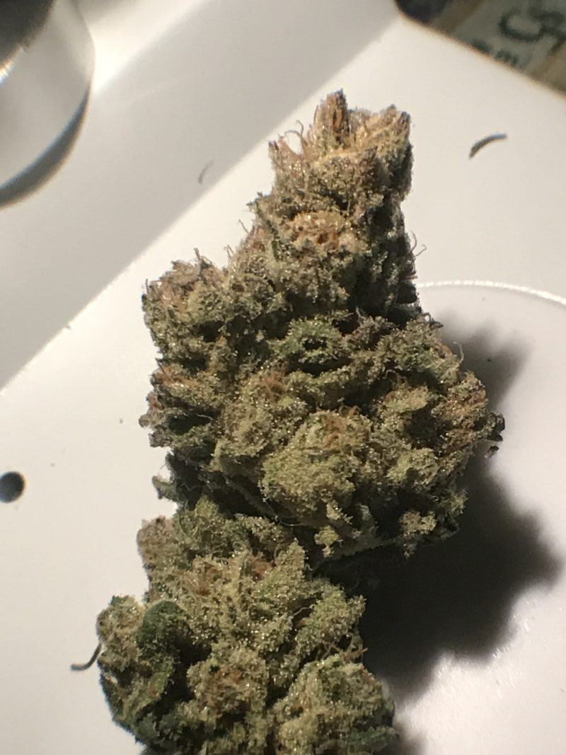 High Garden
