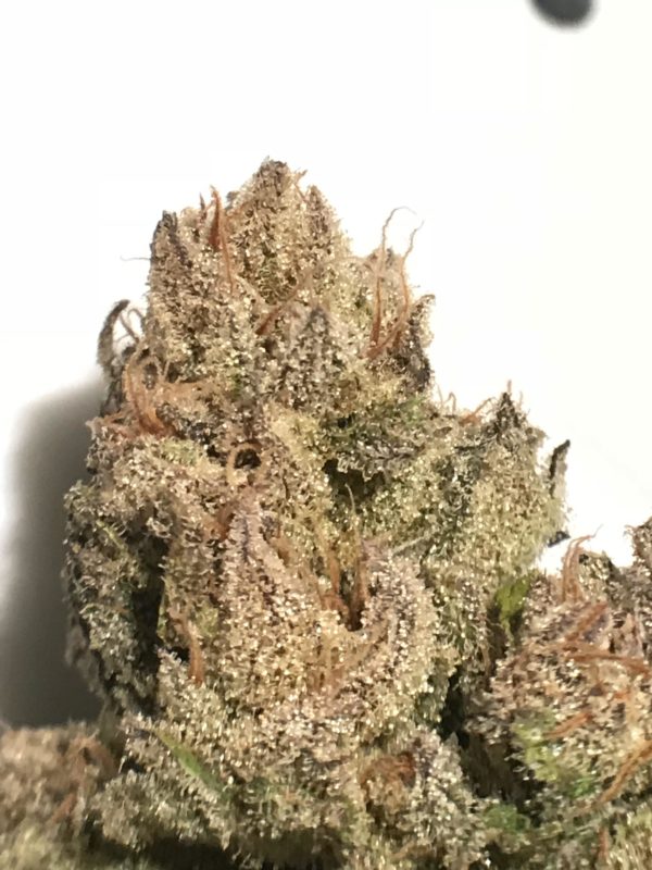 High Garden