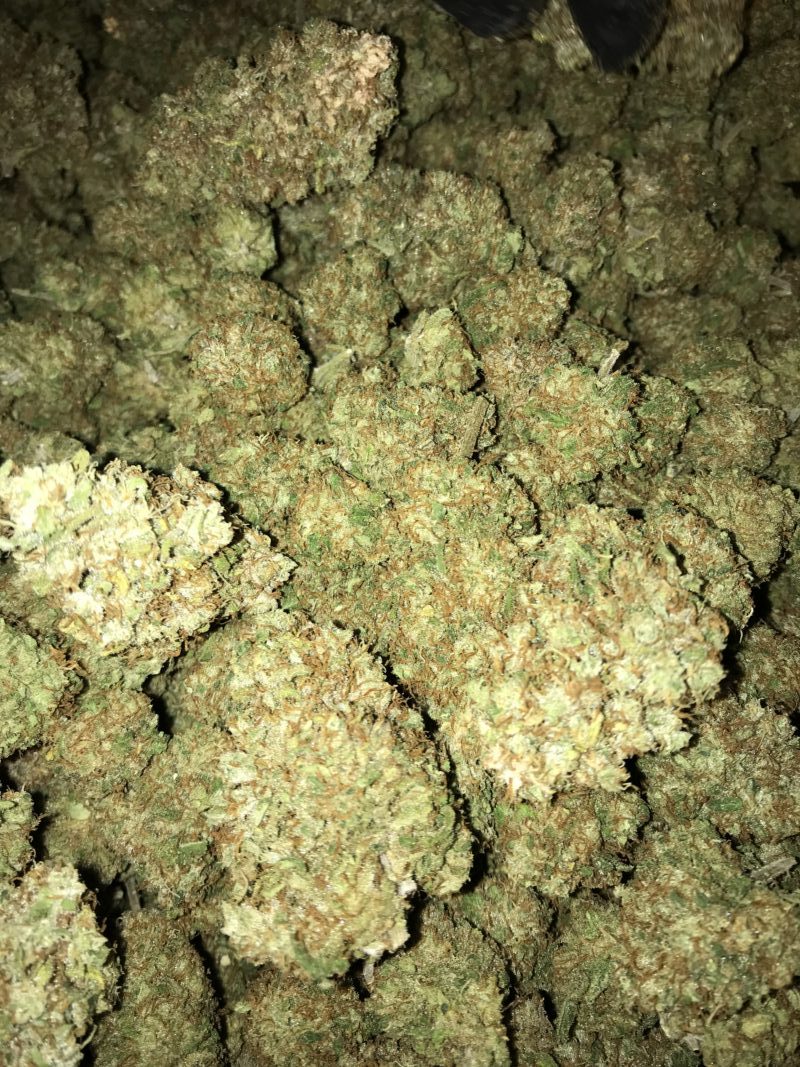 High Garden