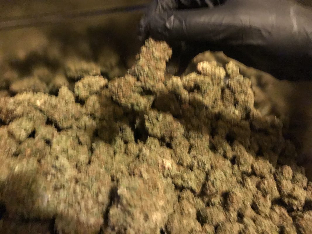 High Garden