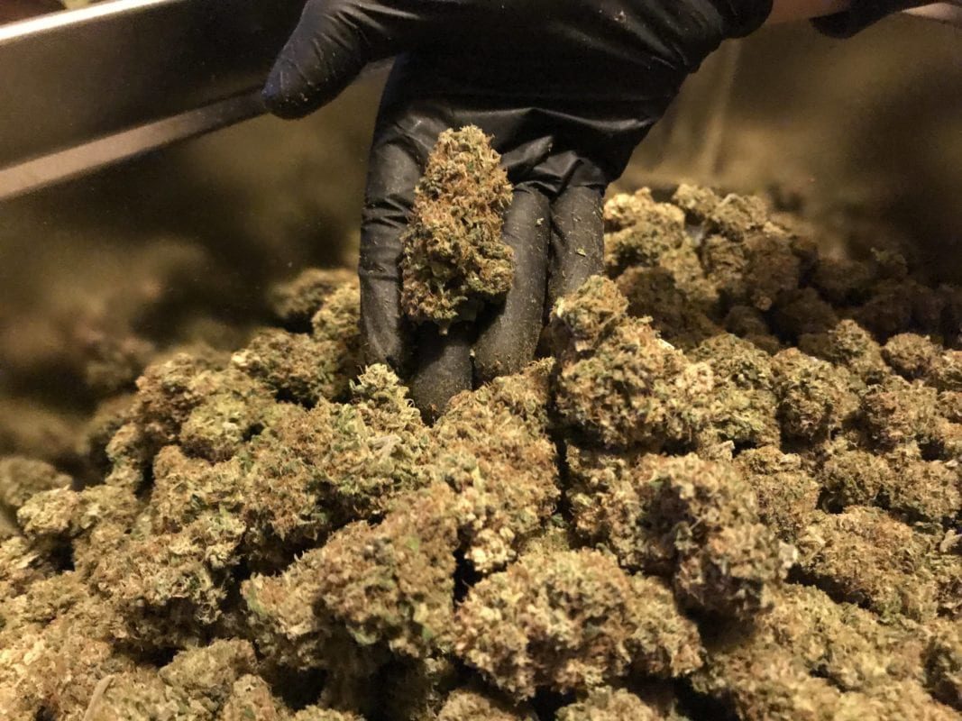 High Garden