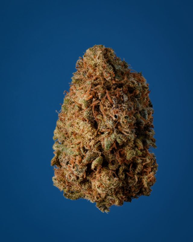 High Garden