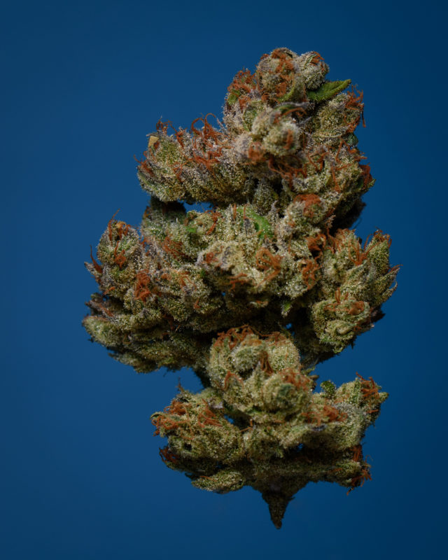 High Garden