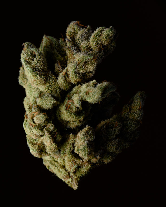 High Garden