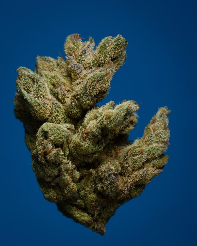High Garden