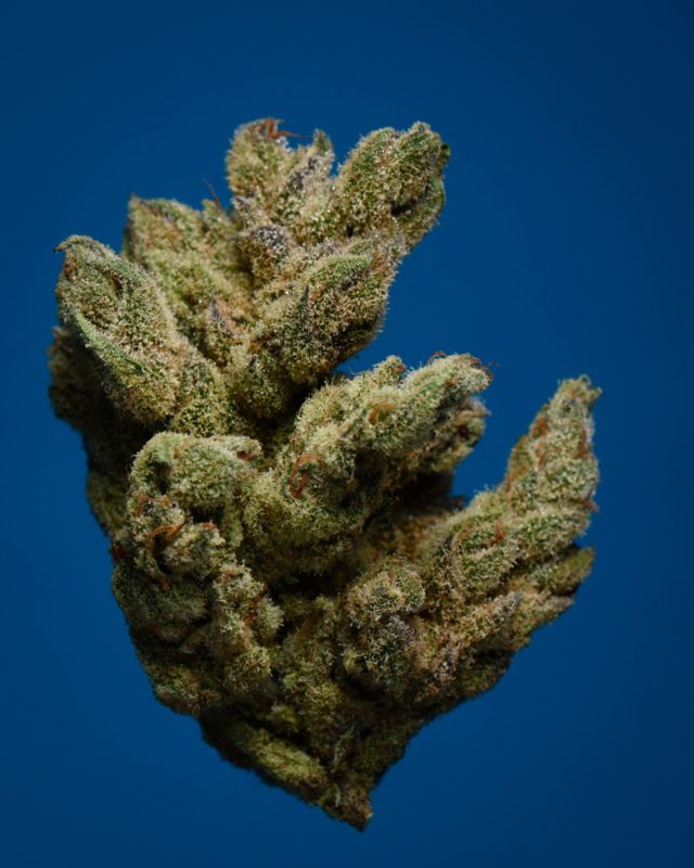 High Garden