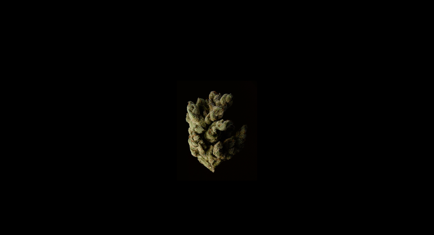 High Garden
