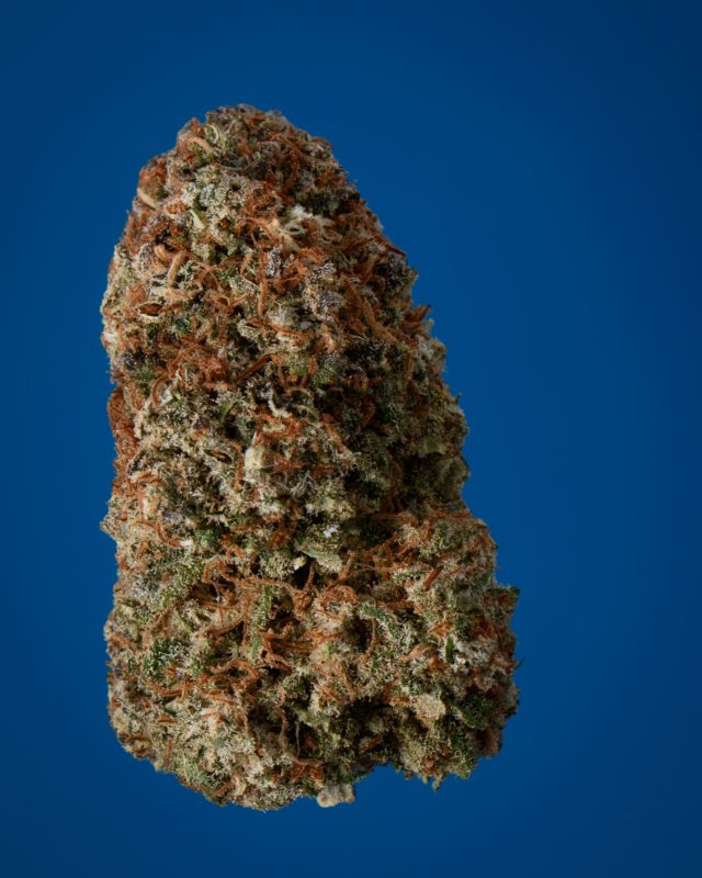 High Garden