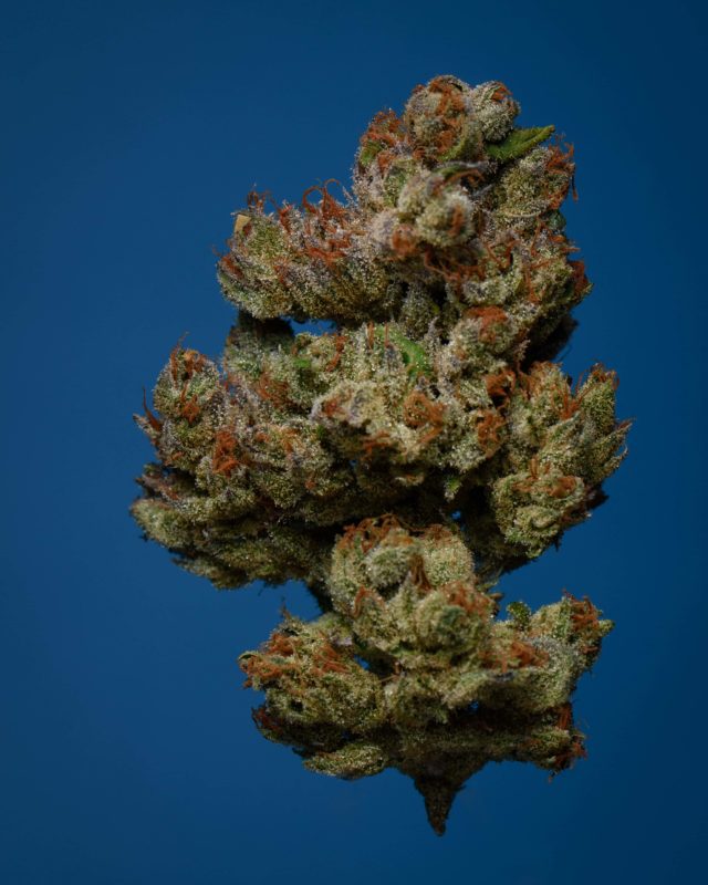 High Garden