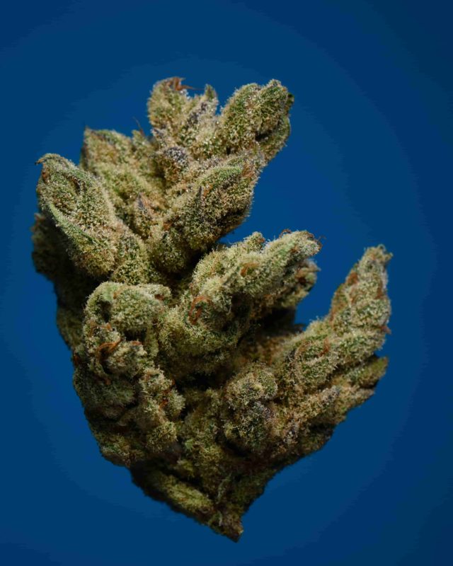 High Garden