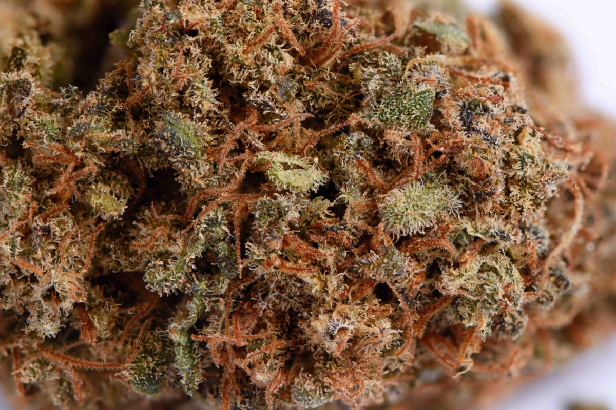 High Garden
