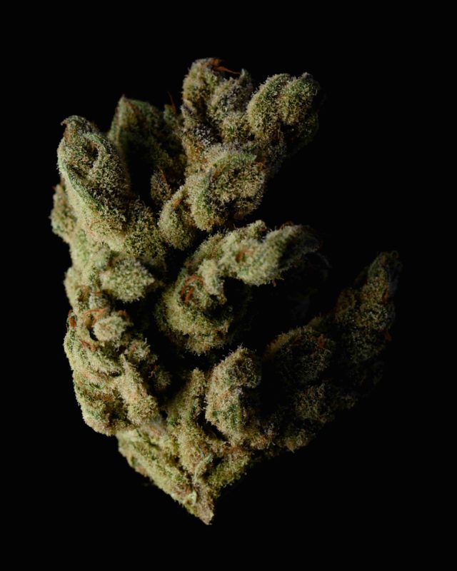 High Garden